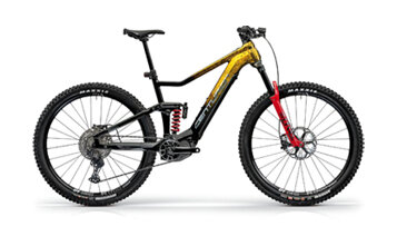 E-MTB Fully