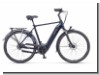 Batavus Finez E-go® Power Ex + He 625Wh 5-G Nex