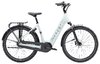 Trek District+ 3 Lowstep XL Plasma Grey Pearl 545