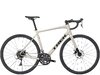 Trek Domane AL 2 56 Gloss Supernova