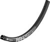 DT Swiss FELGE DT RR 421 ASYM 28 ZOLL DISC 32L - 32 Loch